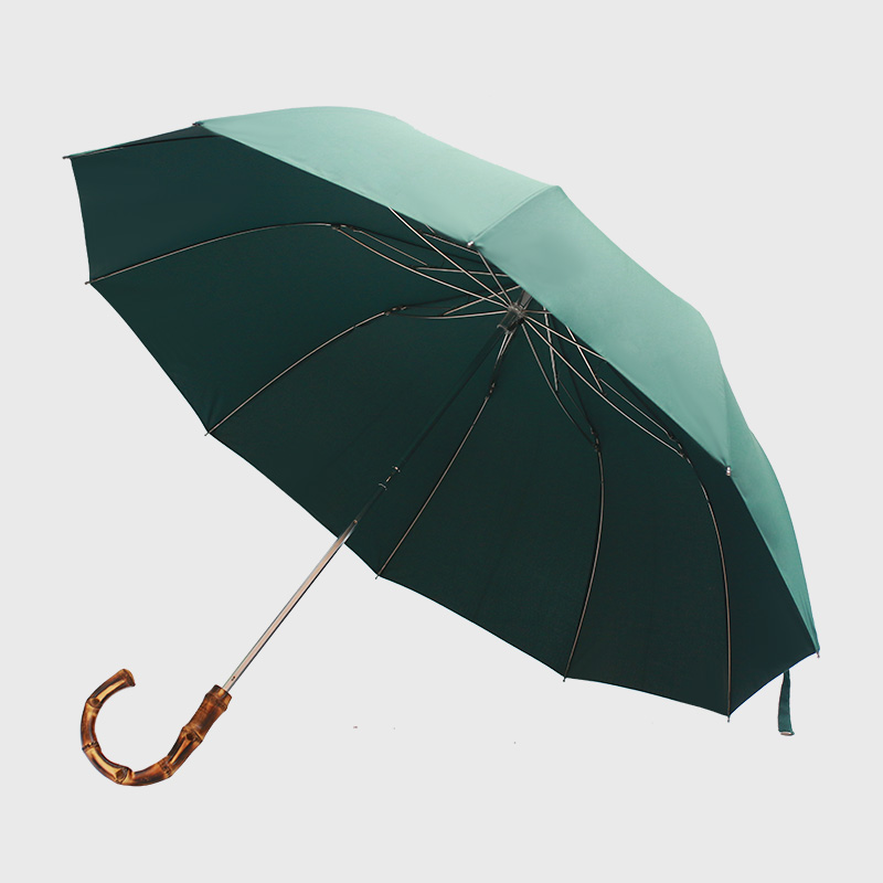 Waterproof Large Auto Umbrella – Wind-Resistant & Sturdy Long Handle: green