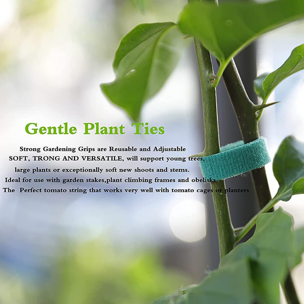 1 Roll Cuttable Ribbon Strap Multi-use Nylon Twist Strap Portable Tie Strap Ribbon Practical Line Organizer for Garden