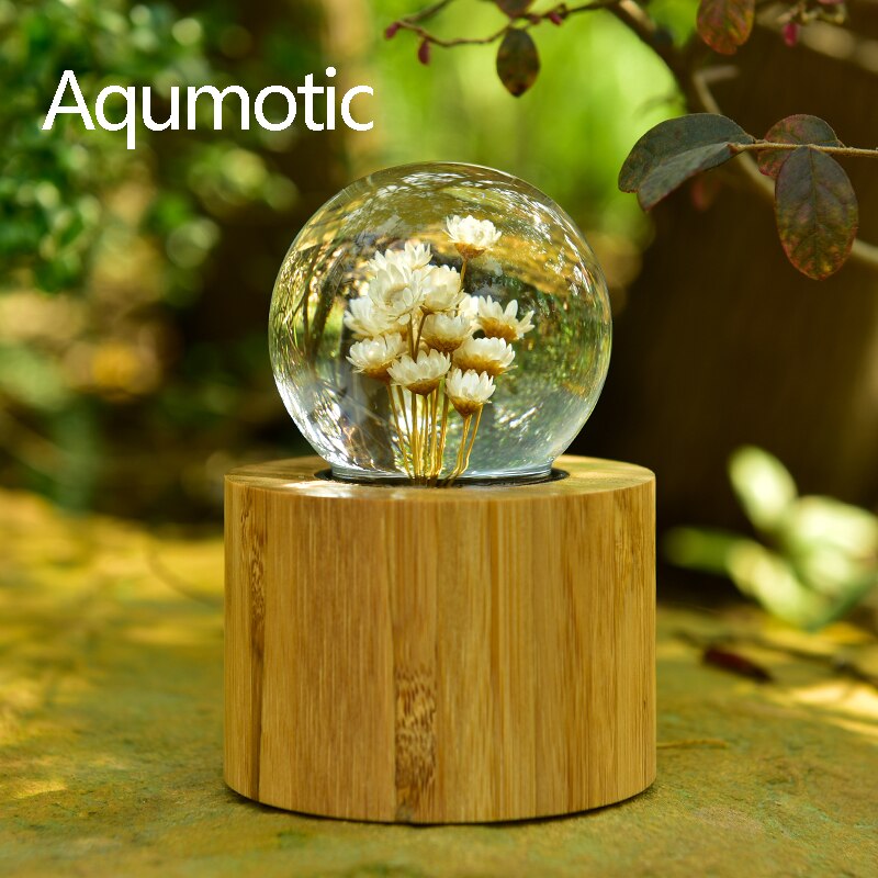 Aqumotic-caja de música de margaritas, bola de cristal, flores secas, cajas musicales de bambú de cristal para amantes, para niña, 1 ud.