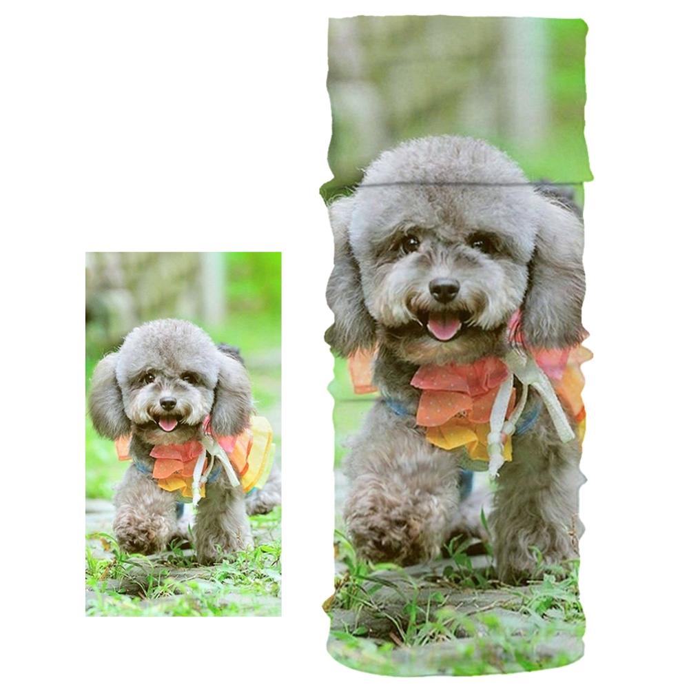 Neue Staubdicht Schal Nette Hund Haustier aufbringen unisex Magie Rohr Schal Weichen, Elastischen Material Joggen Sport Fitness Stirnband Armbinde
