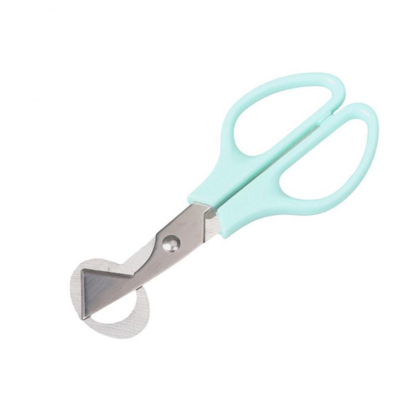 Ouvre-ciseaux pour œufs de caille, outil de ciseaux pour œufs de Pigeon, gadget de cuisine: 02