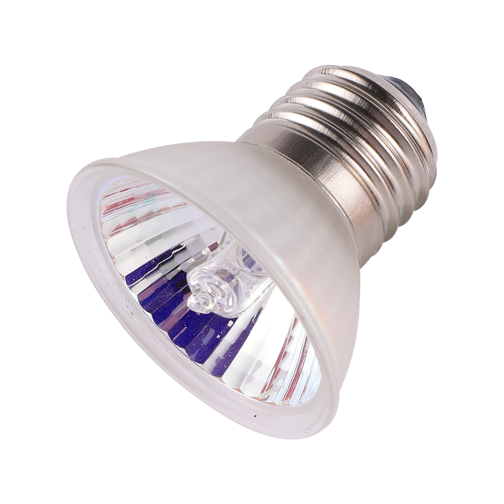 25/50/75W UVA + UVB 3,0 lámpara para reptiles bombilla tortuga tomar el sol bombillas de luz UV lámpara de calefacción anfibios lagartos controlador de temperatura 1 pieza