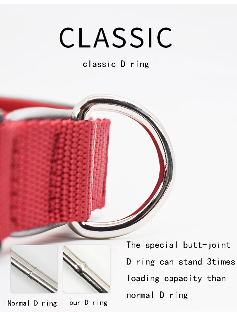 Nylon Dog collar reflective piping padded pet collar adjustable buckle for small medium big dogs orange black pink pet products