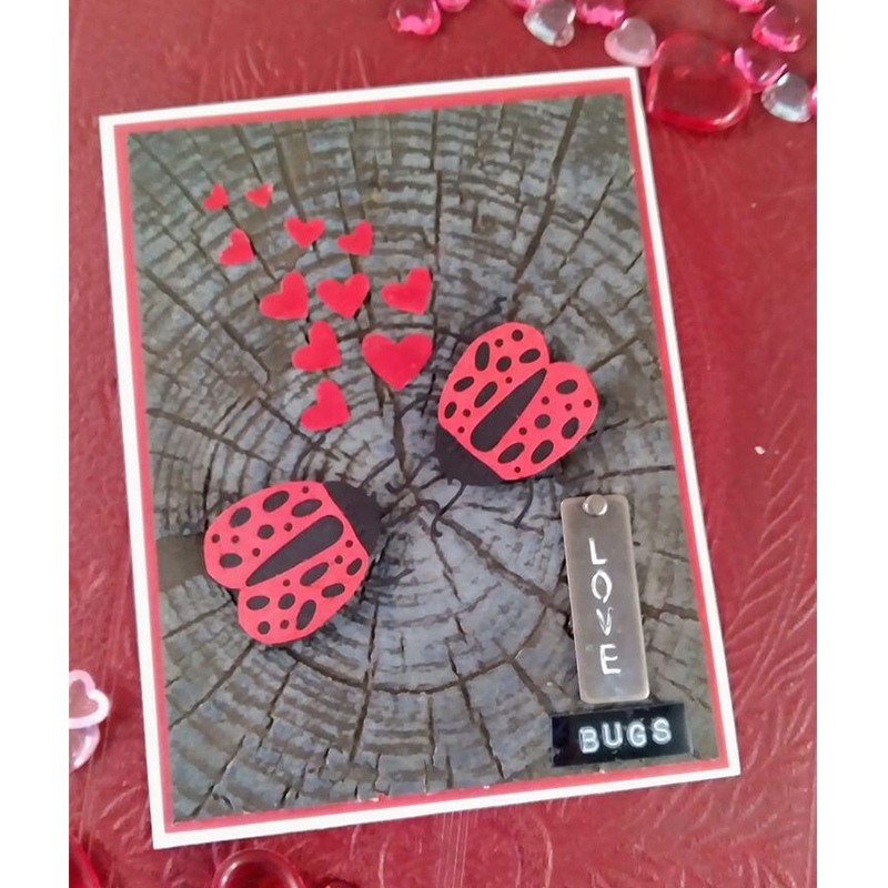 1 unique texture: embossed folder with beautiful patterns of tree rings - durable plastic, 3D , suitable for DIY scrapbook