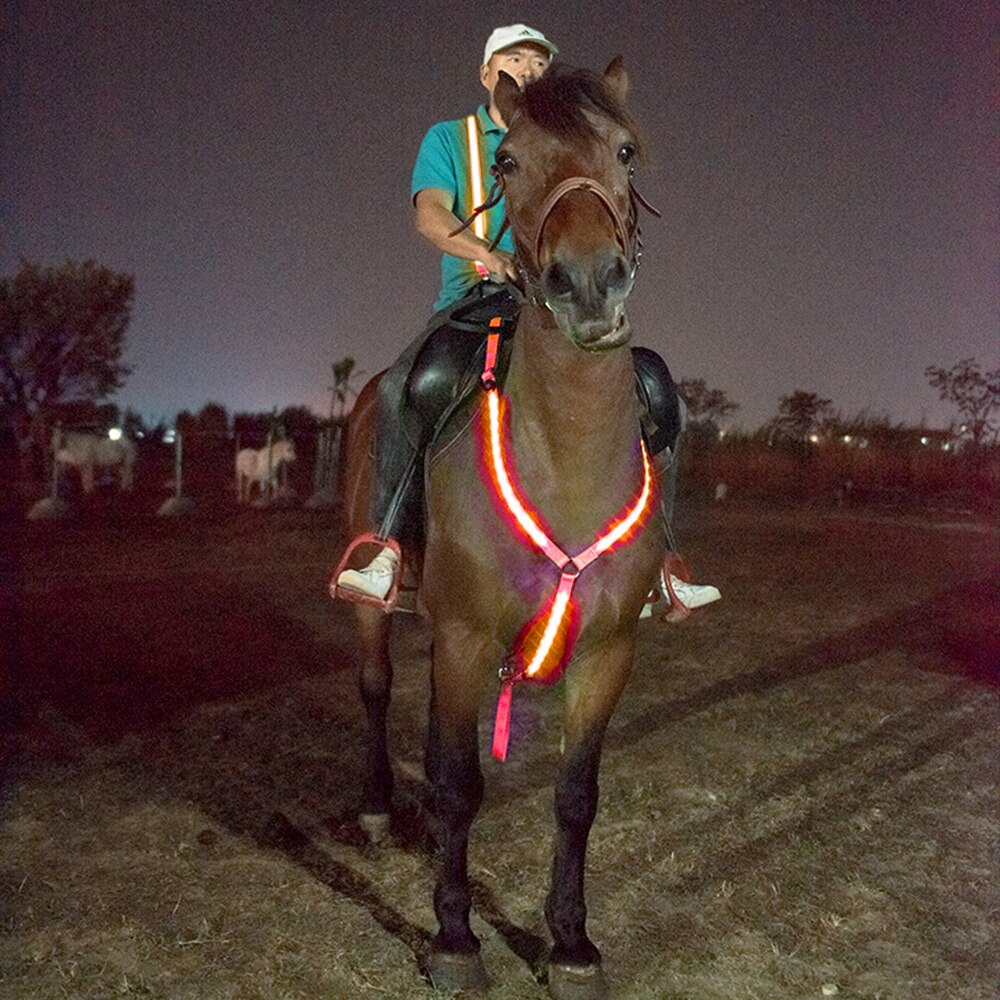 Arnés de cabeza de caballo de alta visibilidad, LED, cuello Halter, ajustable, reflectante, correa para el cuello