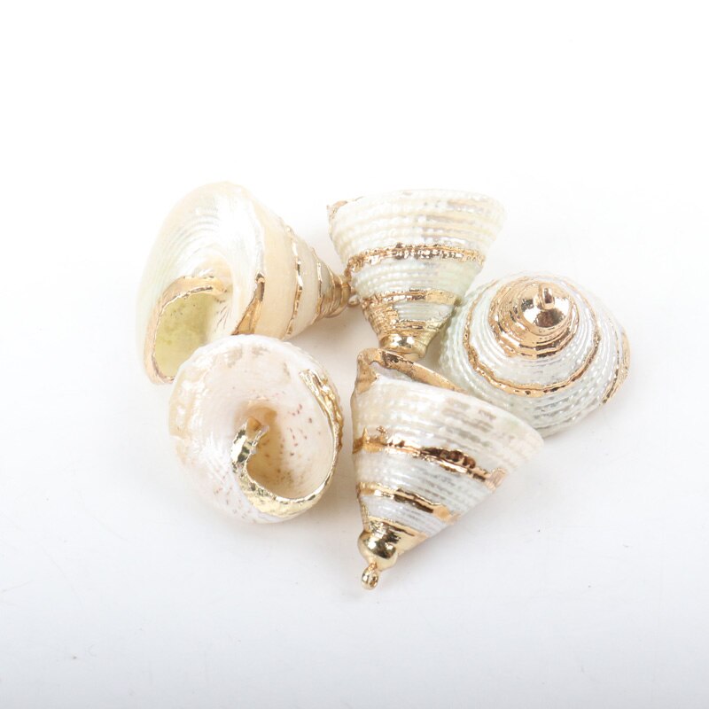 Gold plating Aquarium Strand Nautische DIY conch Kleurrijke Natuurlijke Schelpen Decoraties Coquille schelp Ambachten Decor Ornament 5Pcs