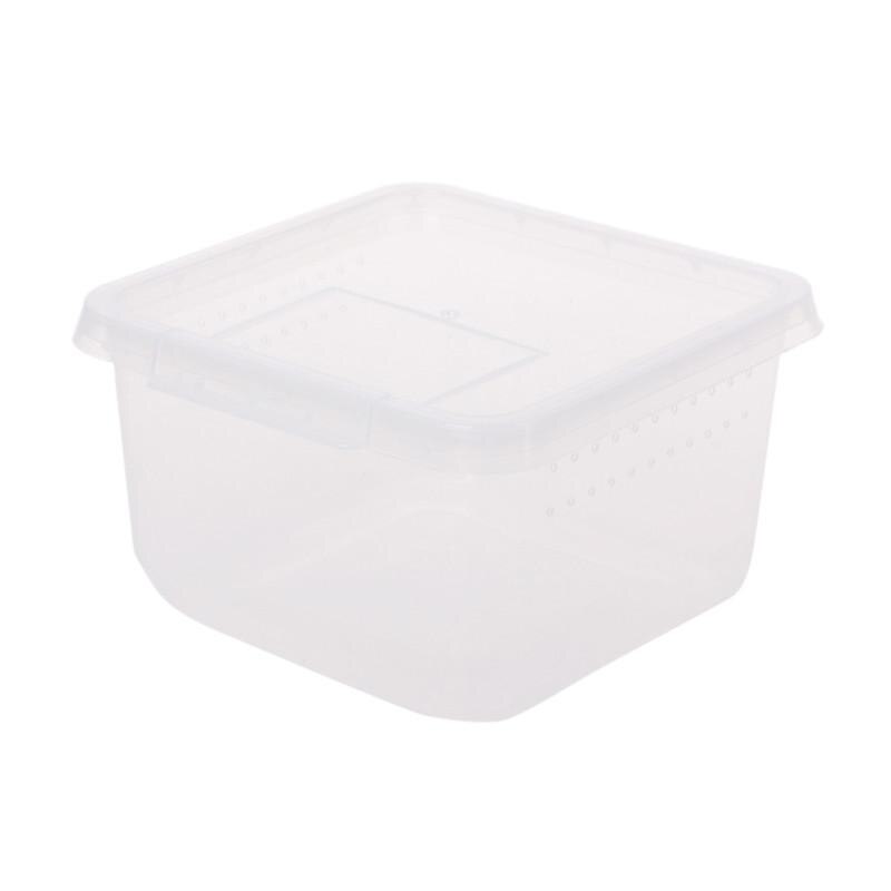 Automatischer Wasserspender Für Reptilien - 200ml Trinkflasche Für Schildkröten & Eidechsen