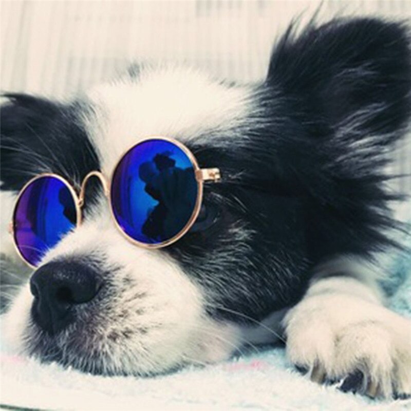 Offre spéciale Cool chat lunettes pour animaux de compagnie pour petit chien chat produits Eye-Wear chien lunettes de soleil pour animaux de compagnie fournitures pour animaux de compagnie Photos accessoires