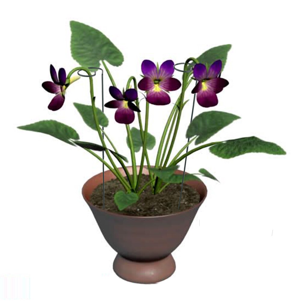 Plant Support Stakes Single Stem Plant Support Ring for Plant Support for Amaryllis Tomatoes Orchid Lily Peony Rose Flower Stem