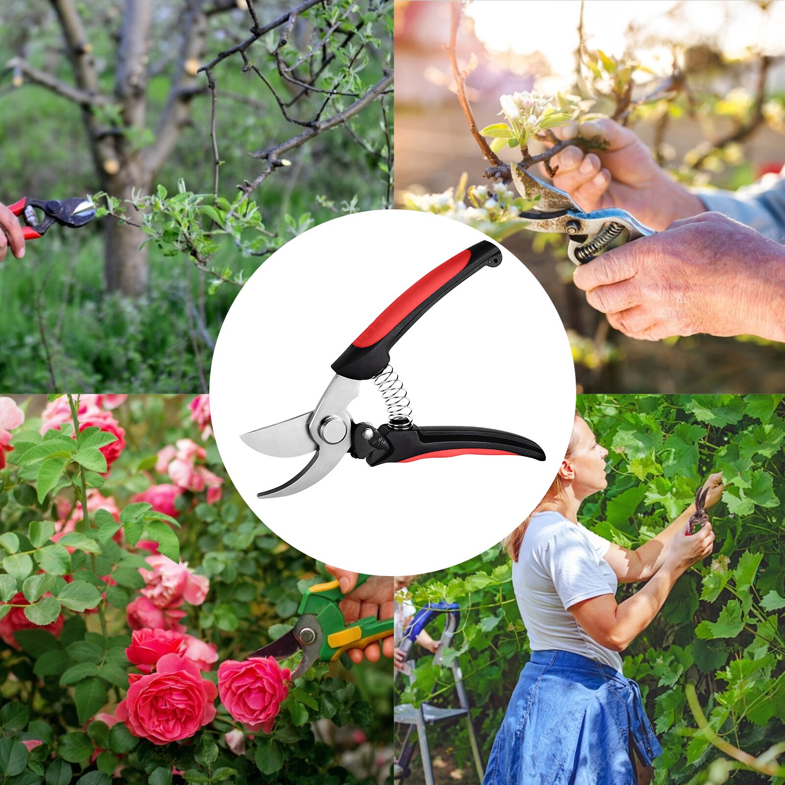 Plant Shears Pruner Secateurs Pruning Scissors Bypass Clippers Garden Tool Bonsai Flower Cultivating Solid Snip Floral