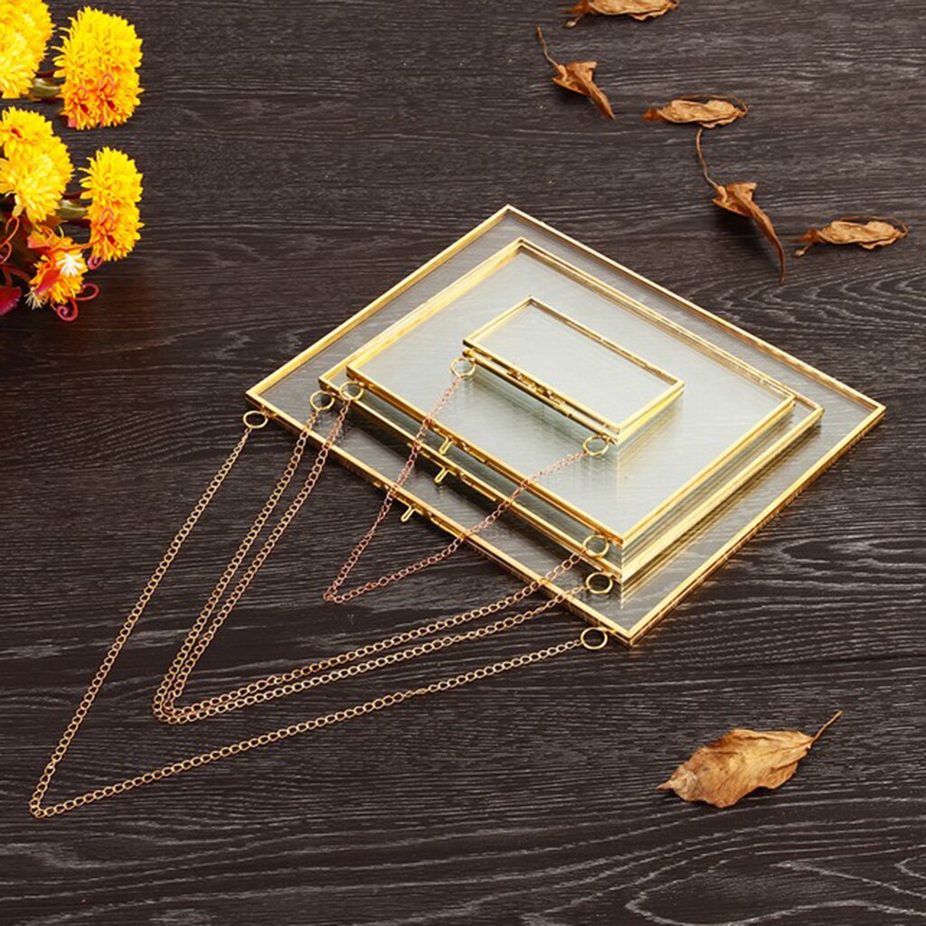 Glass Wall Hanging Picture Frame Wall Mounted Photo Frame Flower Plant Display Frame for DIY Wall Decoration