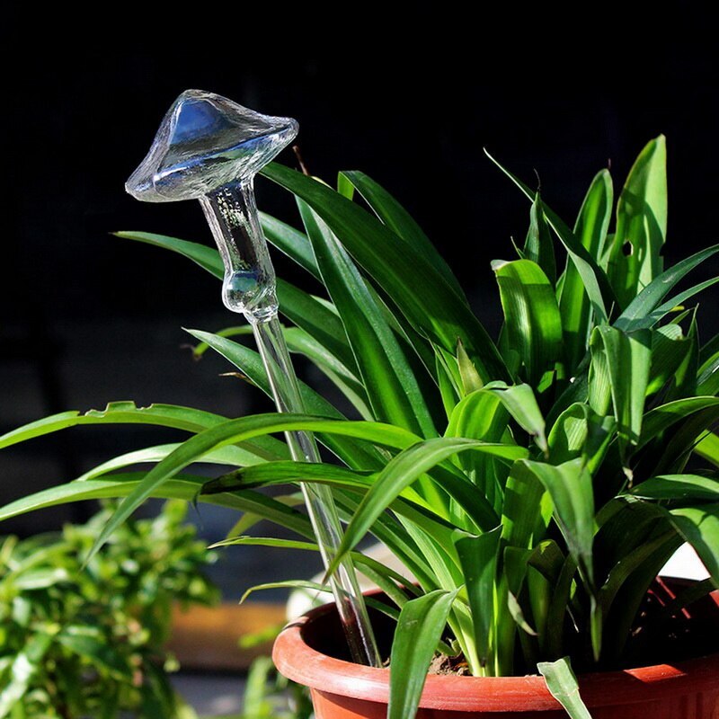 Cristal de agua para plantas autoriego de agua para plantas er, planta de vidrio portátil, flores, alimentador de agua, decoración de autoriego, latas de agua: Mushroom