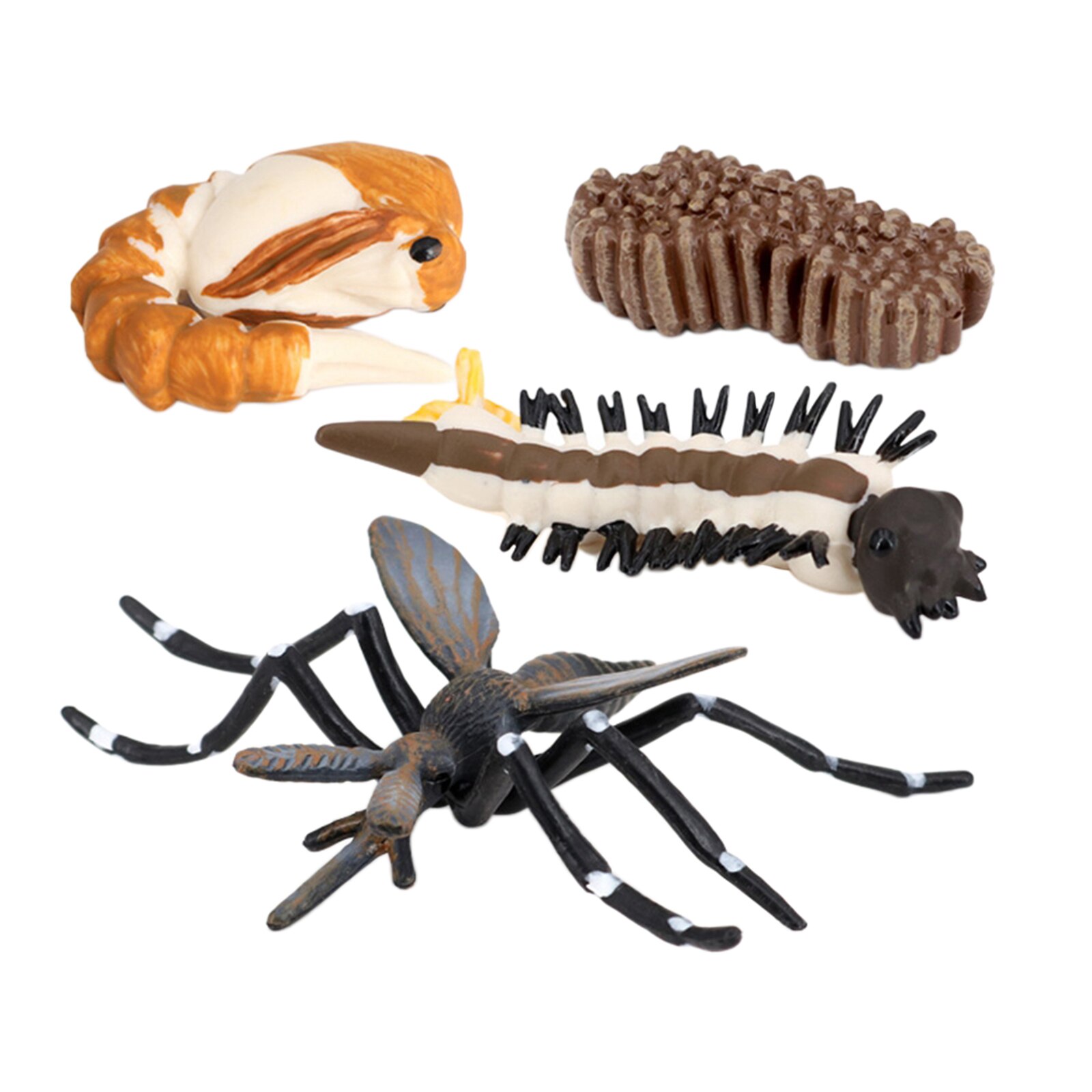 Kids Natuur Insecten Mug Groei Figuur Pre-School Speelgoed Thema Party