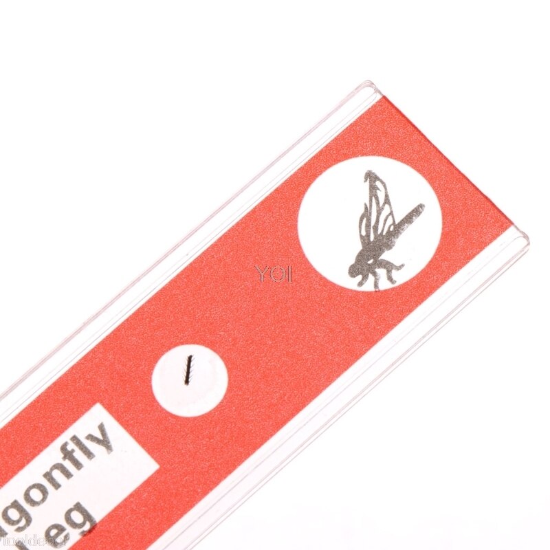 12 Pcs Prepared Microscope Slides Set Specimen For Student Basic Biology Education