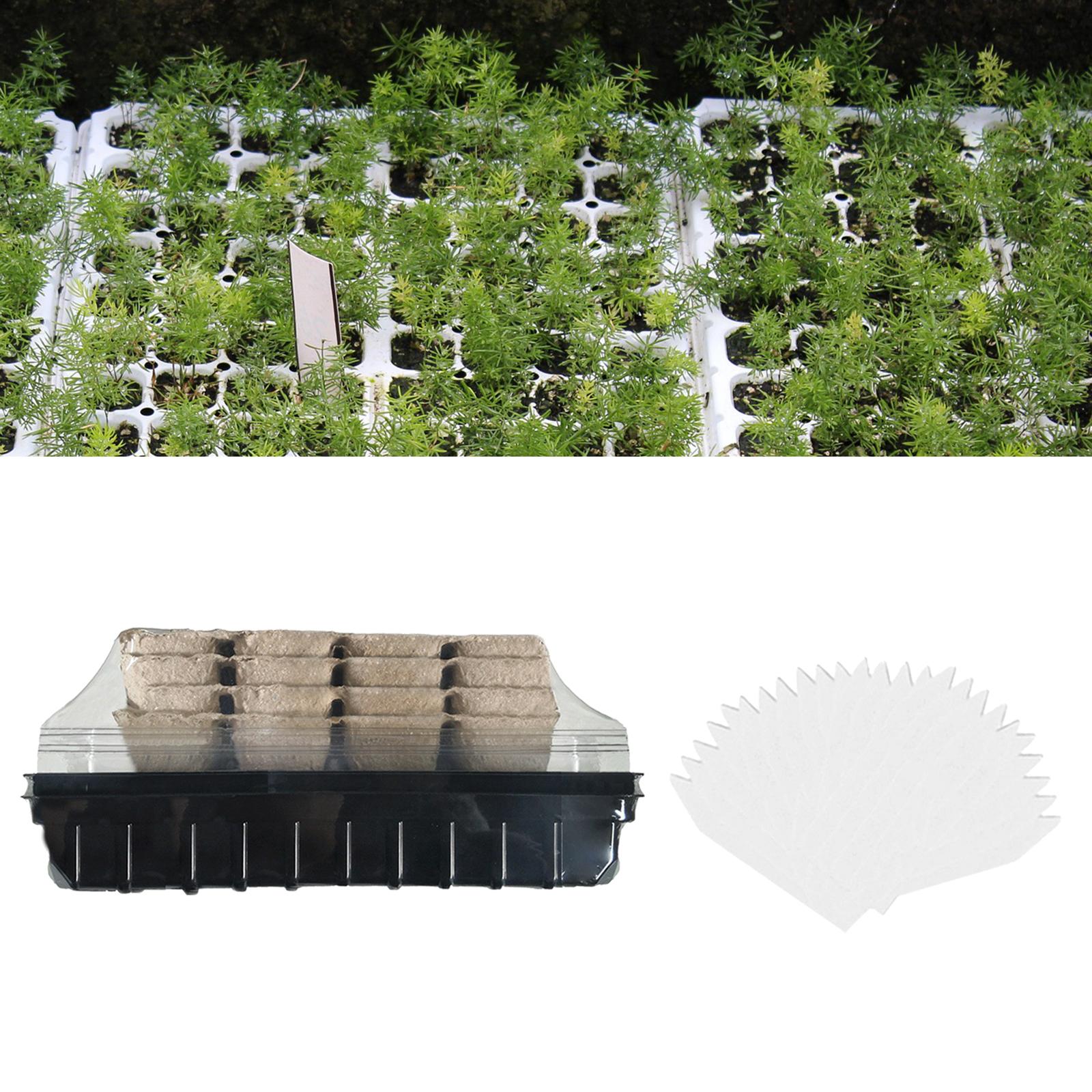 Plant Starter Kit Insulated Planter Container Seed Pot Plant Seed Grow Box for Greenhouse Home Outdoor Seeds Growing Starting