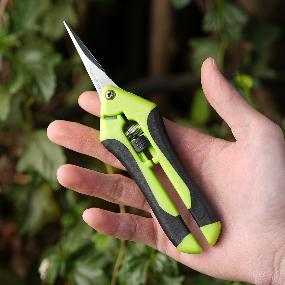 Mini Gardening Scissors for Pruning, Fruit Pruning, Pruning, Grape Picking, and Gardening Tools: green