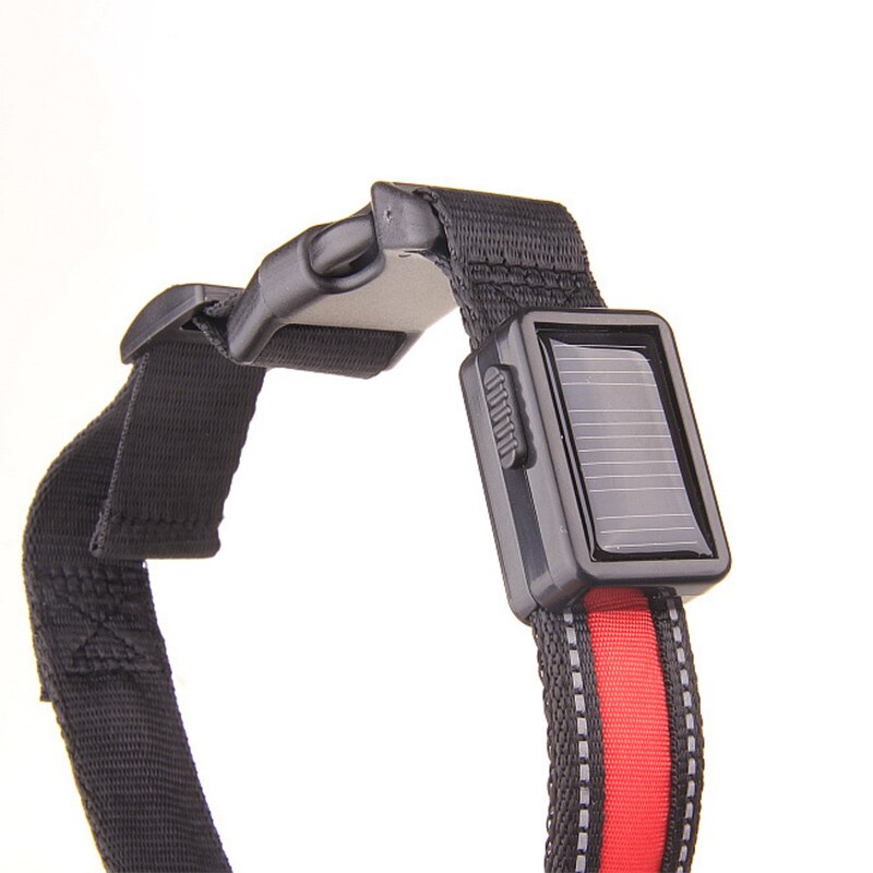 Hondenhalsband van nylon, lichtgevende zonne-led-hondenlamp, nachtveiligheid, gloeiend, knipperend led-hondenhalsband, oplaadbare led-hondenhalsband