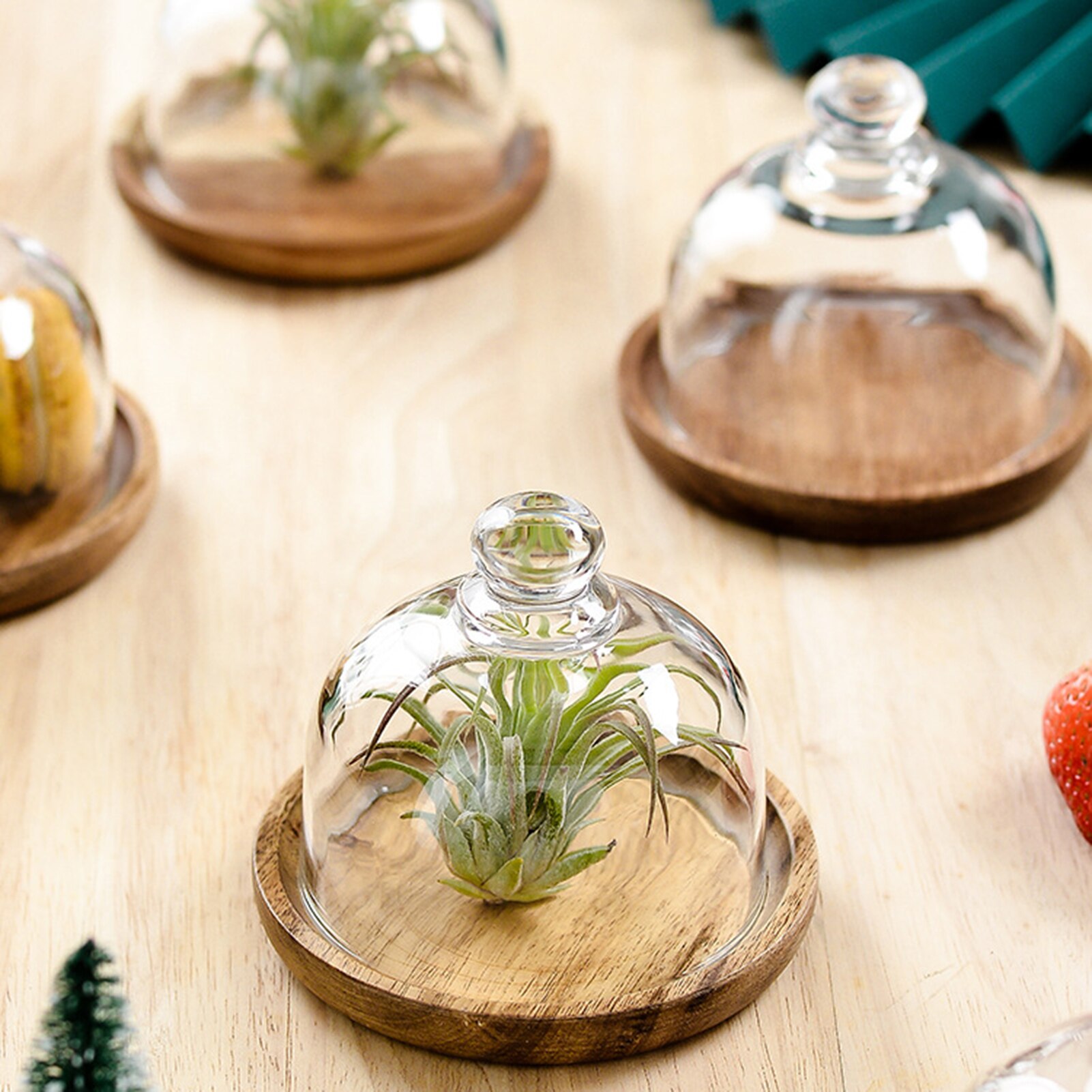 Houten Cake Stand Met Glas Doom Cover Multi-Functionele Serveerschaal Taart Plaat Slakom DC112