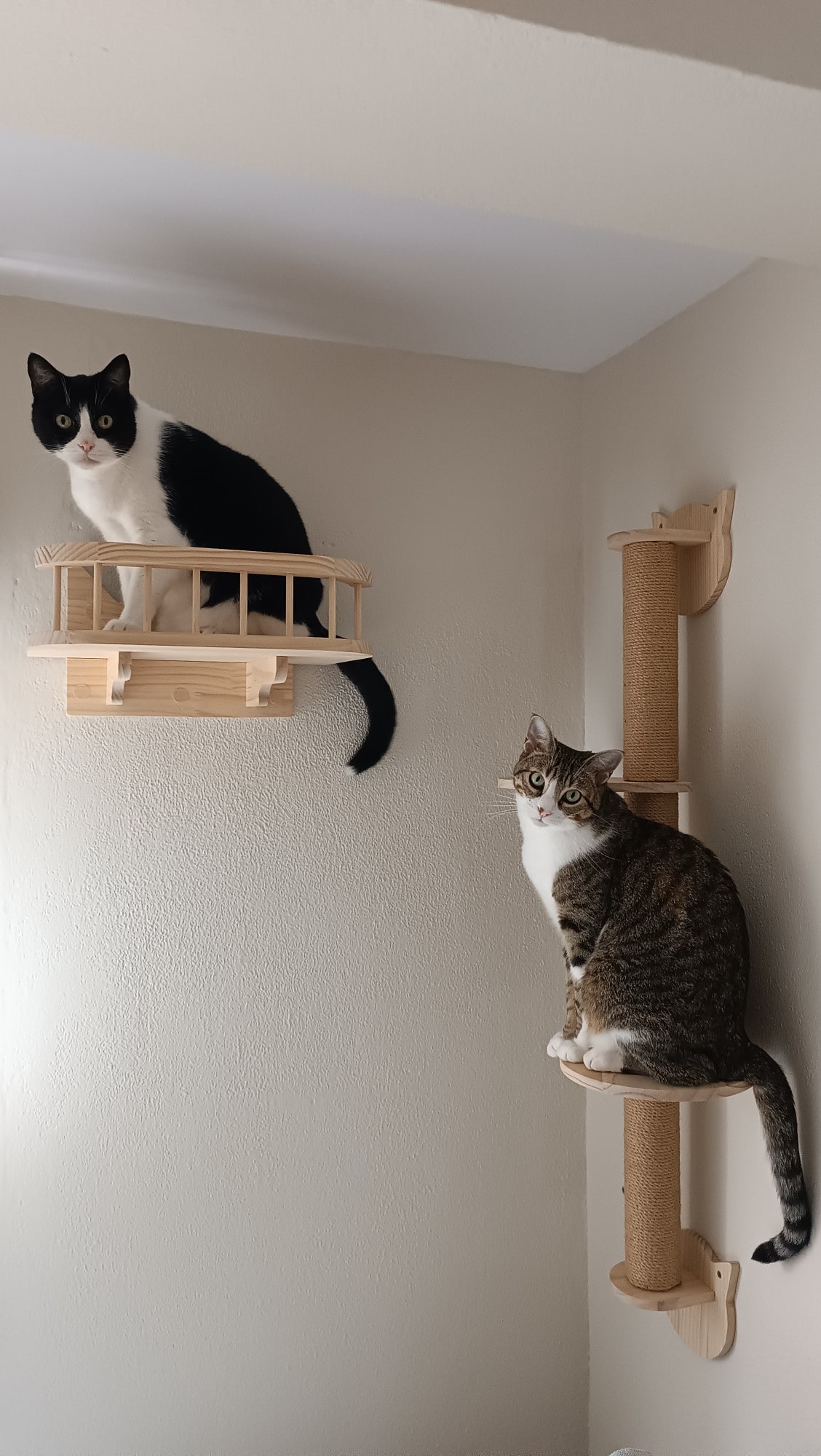 Cat Wall Mounted Wooden Climbing Shelves Cat House and Hammock for Platform and Ladder Turning Channel for Cat Indoor Furniture