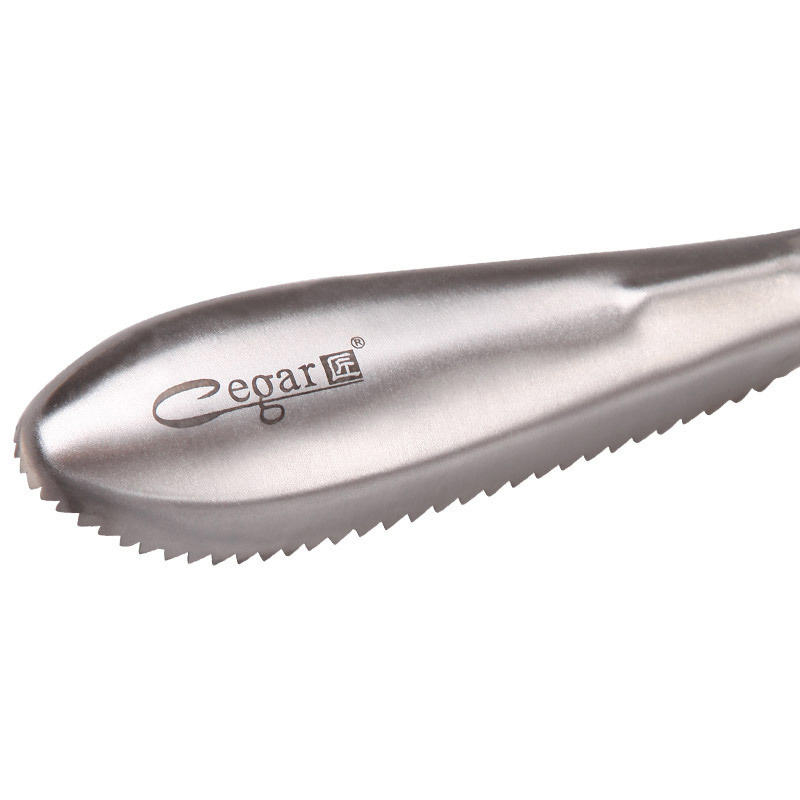 Couteau grattoir à écailles de poisson | En acier inoxydable, outils de nettoyage du poisson, brosse de nettoyage de la peau, outils de cuisine