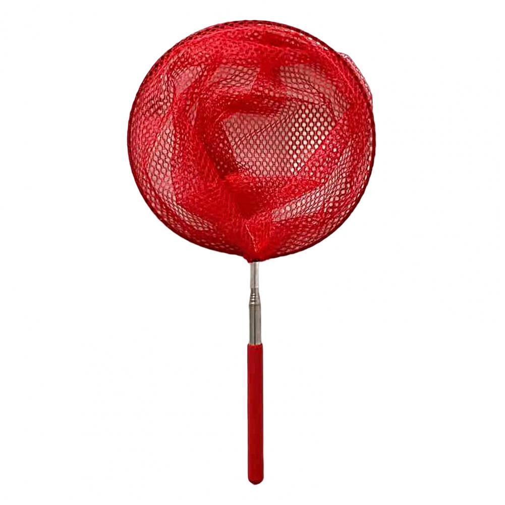 Filet de pêche télescopique pour enfants, filet de pêche en acier inoxydable pour attraper des poissons, filet d'extérieur pour insectes, papillons et libellules
