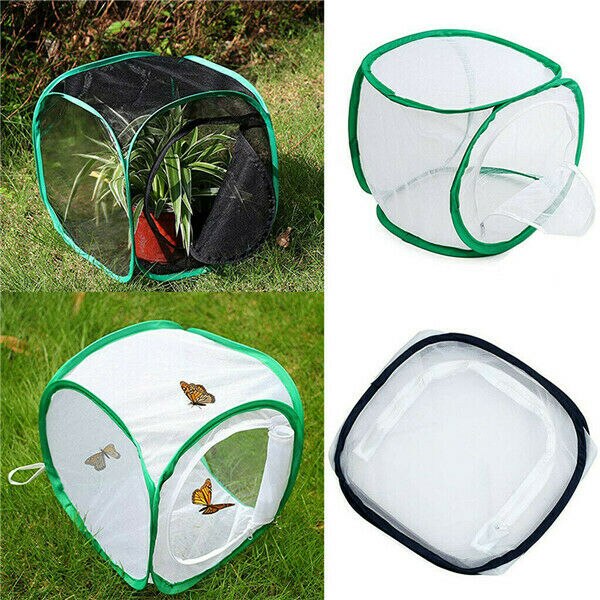 Insect Cage Foldable Butterfly Habitat Mesh Transparent Surface Portable Zipper Insect Supplies Boxes