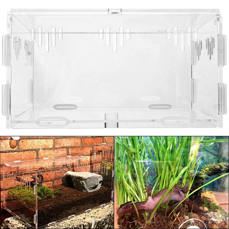 1pc Climbing Pet Feeding Box Sturdy Transparent Spider Tank Amphibious Animal Tank Tortoise Tank for Spider