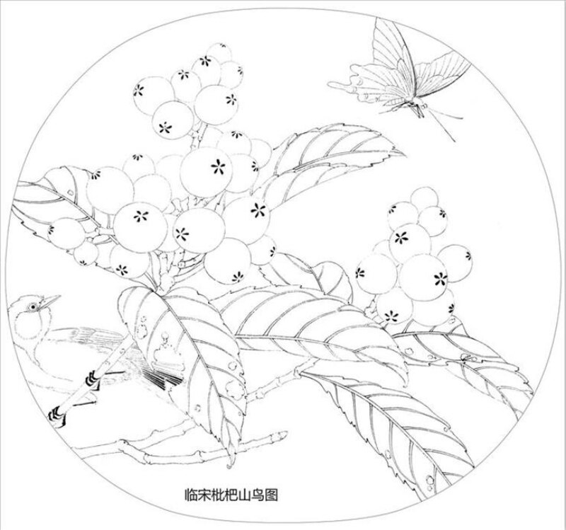 Line Drawing Manuscript Song Dynasty Meticulous Painting Sketches Flowers Birds Copying Manuscript Beginners Line Drawing Drafts