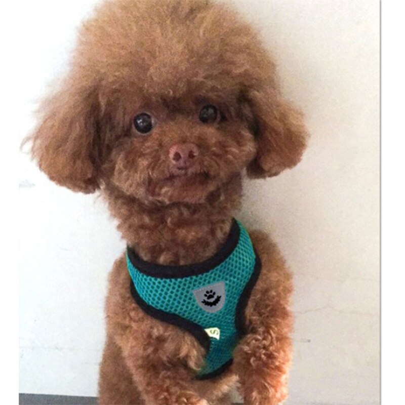 Zwierzęta domowe są zestaw uprząż i smycz kot i pies Walking miękkie Mesh oddychające regulowany gorset dla smycz dla szczeniaka pas piersiowy artykuły dla zwierząt