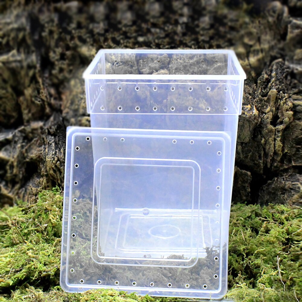 Climb Pet Box Spider Lizard Chameleon Guard Palace Tree Frog Special Transparent High Breeding Box Terrarium