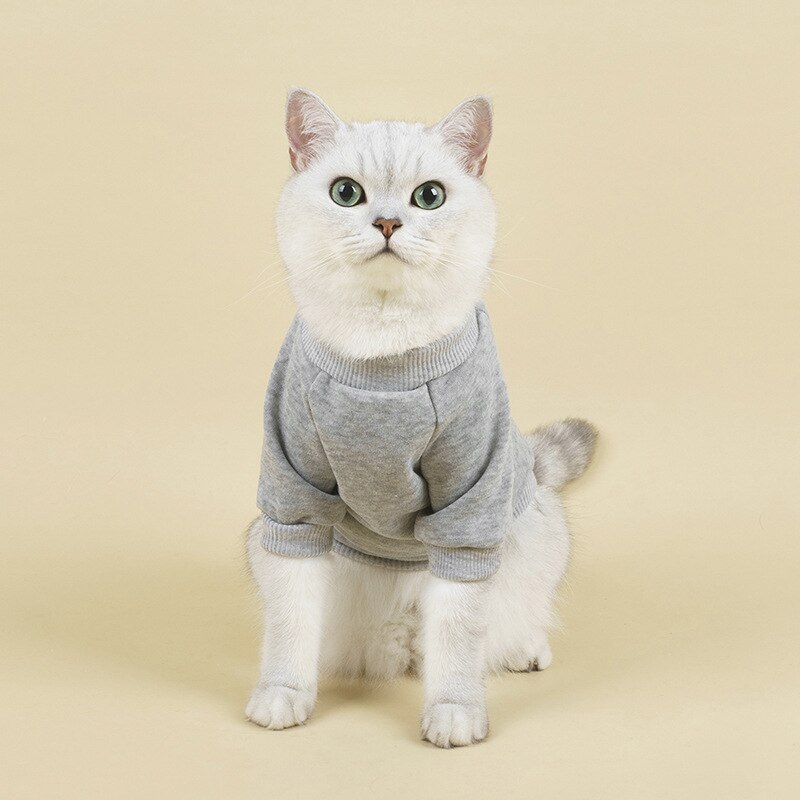 Style Hairless Cat Clothes Winter Thick Cat Clothes Mink Warm And Comfortable: LIGHT GRAY / L