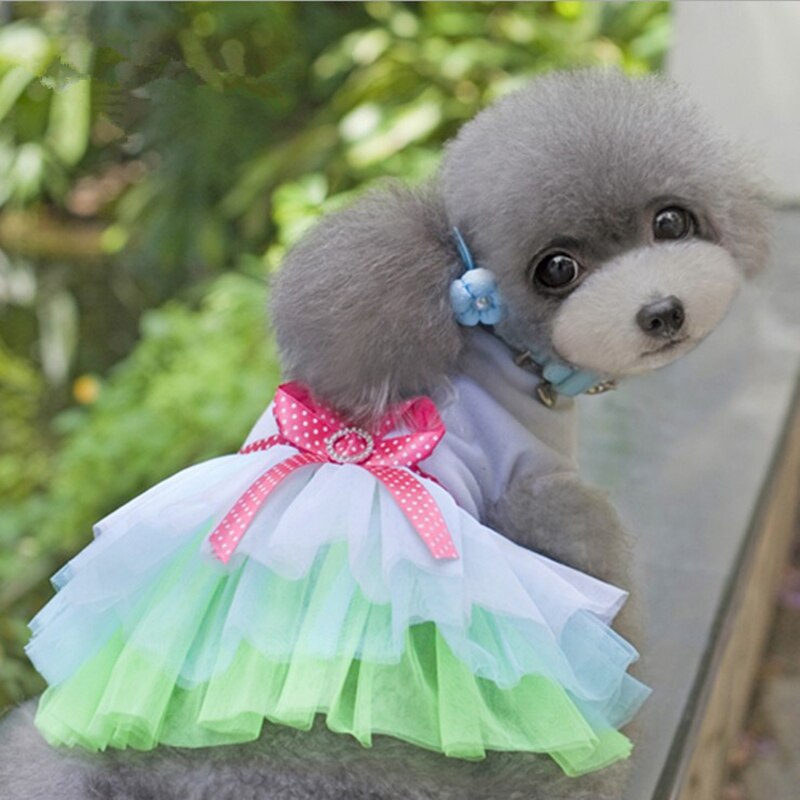 Cute Dog Clothes Small Dog Dress Sweety Princess Dress For Puppy Spring Summer Small Dogs Lace Colorful Clothes Pet Supplies