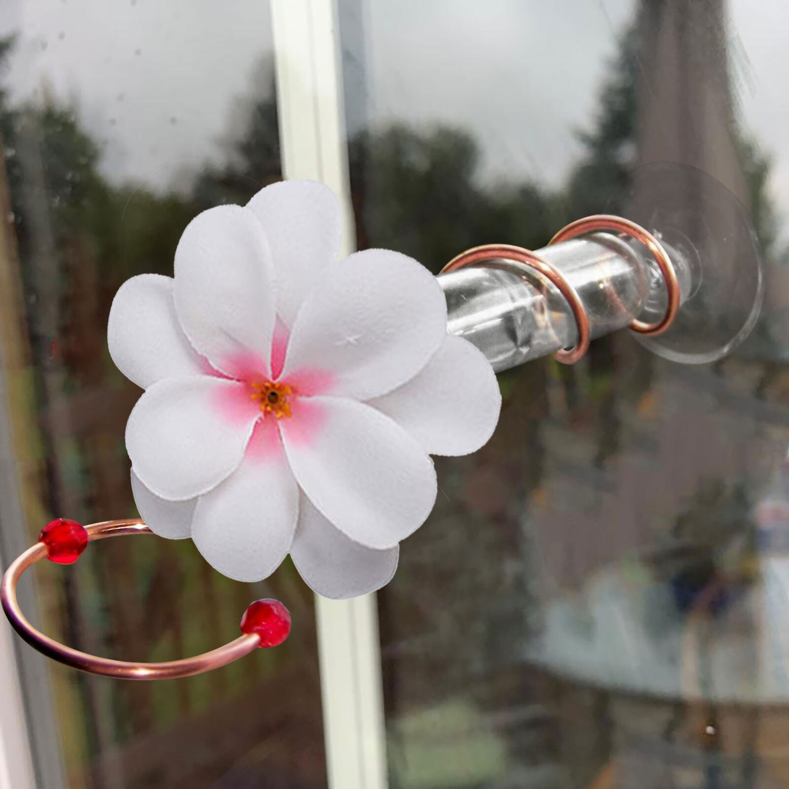 Courtyard Bird Feeder Red Berries Humming Bird Feeder 3 Feeding Bottles Berries Humming Bird Feed Seed Accessories