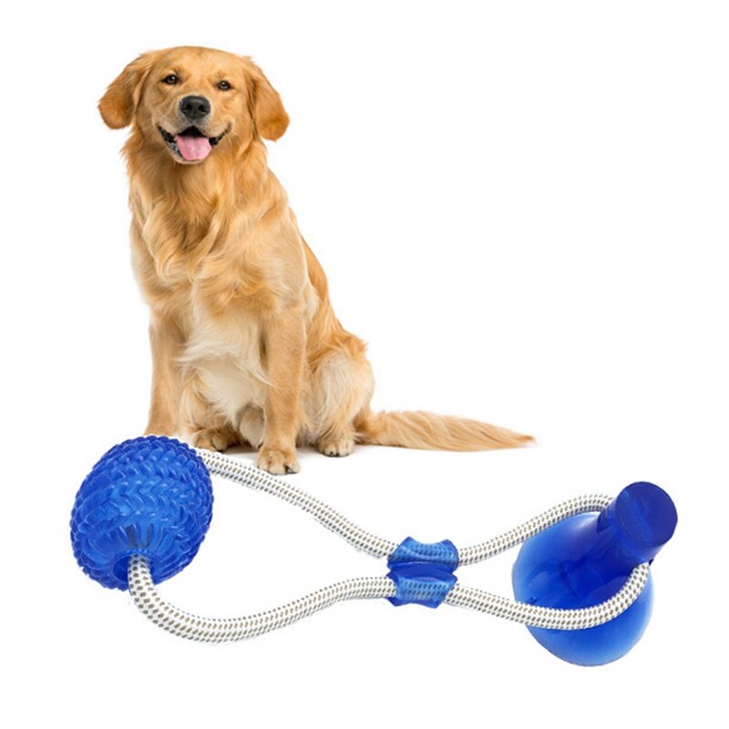 Hond Interactieve Molaire Kauwen Speelgoed Dierbenodigdheden Self-Playing Rubberen Bal Met Zuignap Tanden Cleaning Tools Hond Tanden schoonmaken