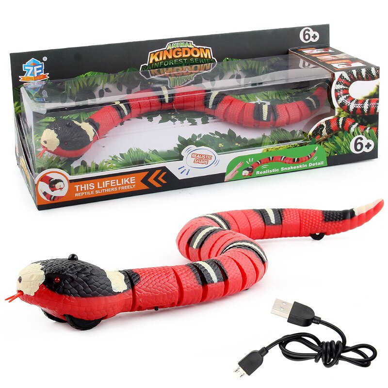 Cat Toy Pet Remote Control Snake Crawl Toy Funny Cat Interactive Toy Emulation Cobra Electric Toys USB Charging Dog Supplies: Red