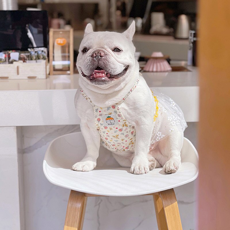Ropa para mascotas, vestido para perro gordo, falda de tul para perro Bulldog francés, vestidos para perros medianos y grandes, ropa para mascotas, vestido para mascotas Pug