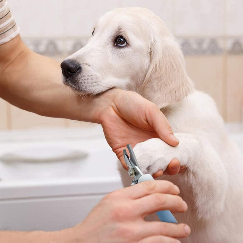 Coupe-ongles pour animaux de compagnie, avec râpe, en acier inoxydable, pour chiens et chats, nettoyage et entretien des ongles