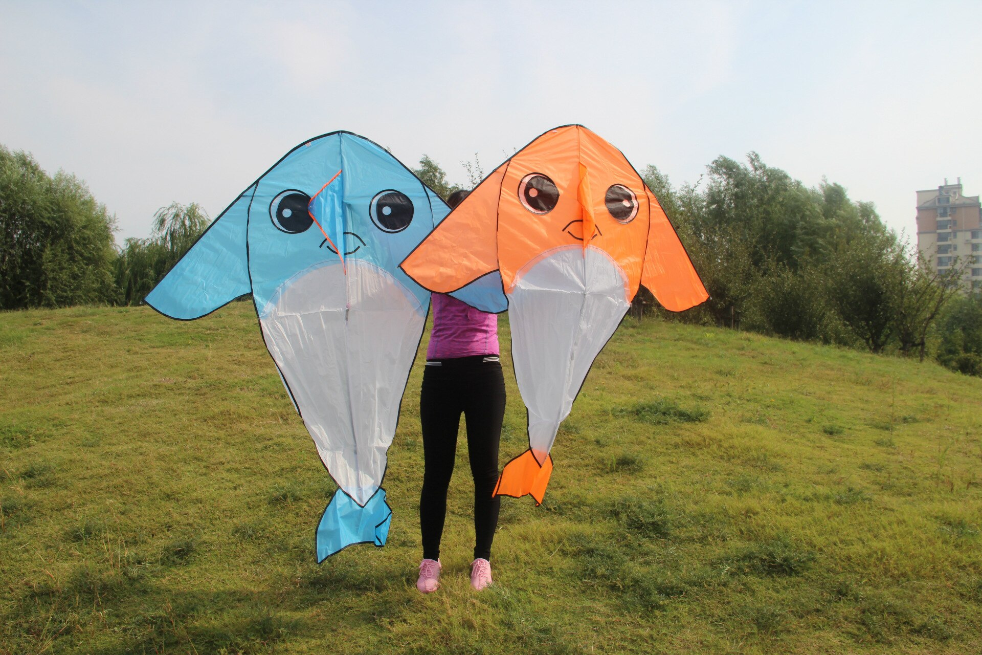 Dolphin Kite - Easy to Fly Outdoor Sport Toy - Fun for Kids & Adults - Durable Polyester