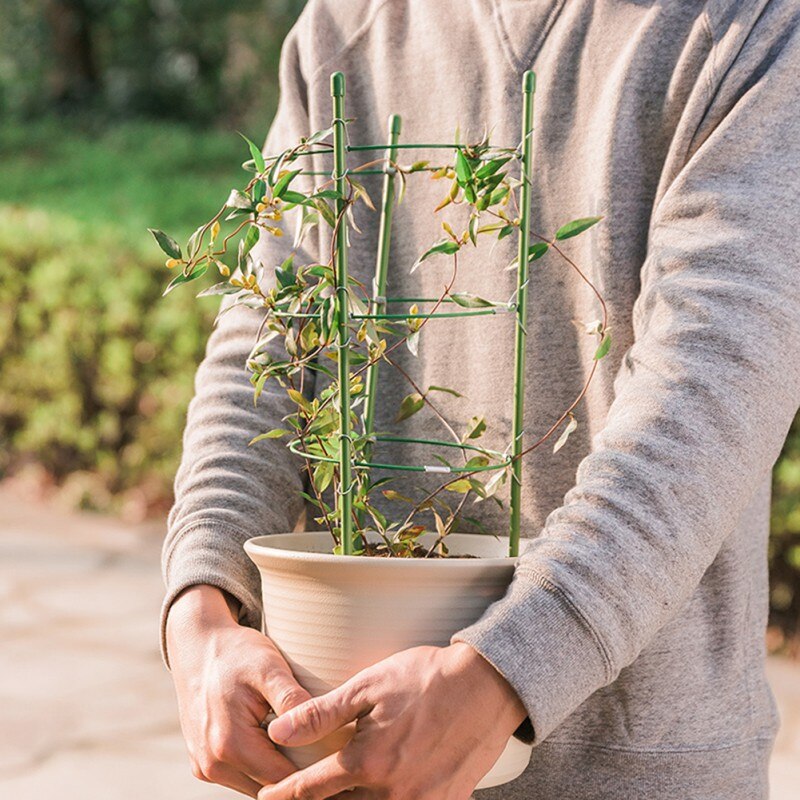 Hållbart klätterranka växtstöd 45cm/60cm plastbelagda järn växtstöd ram trädgård balkong växt blomma spaljé