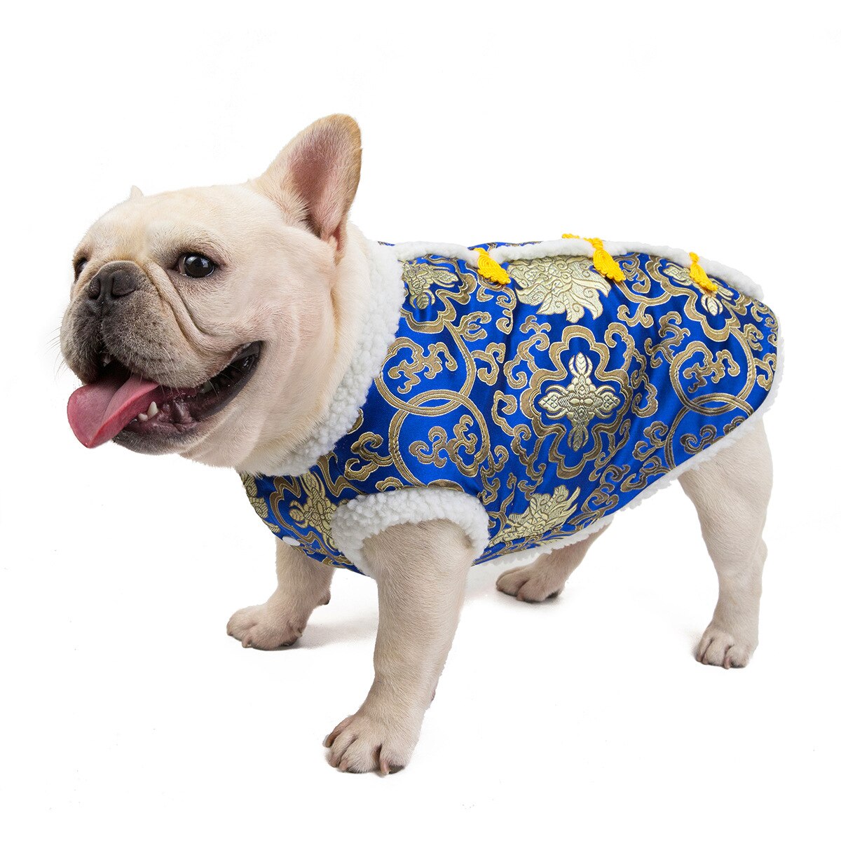 Luxury Dog Cat Year Clothes Clothes Chinese Style Party Costume Tang Suit Coat Lucky Printed Festival for Kitten Puppy: b / XXL