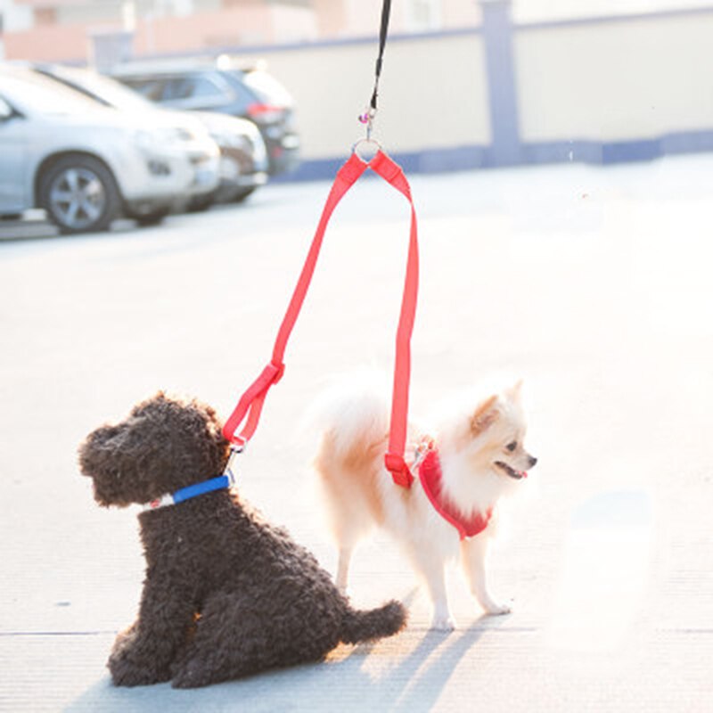 Kleur dubbele hondenriem voor twee huisdieren, hondenriem voor honden en katten, nylon riem voor katten, klein, medium, touw hondenriem voor hardlopen en wandelen