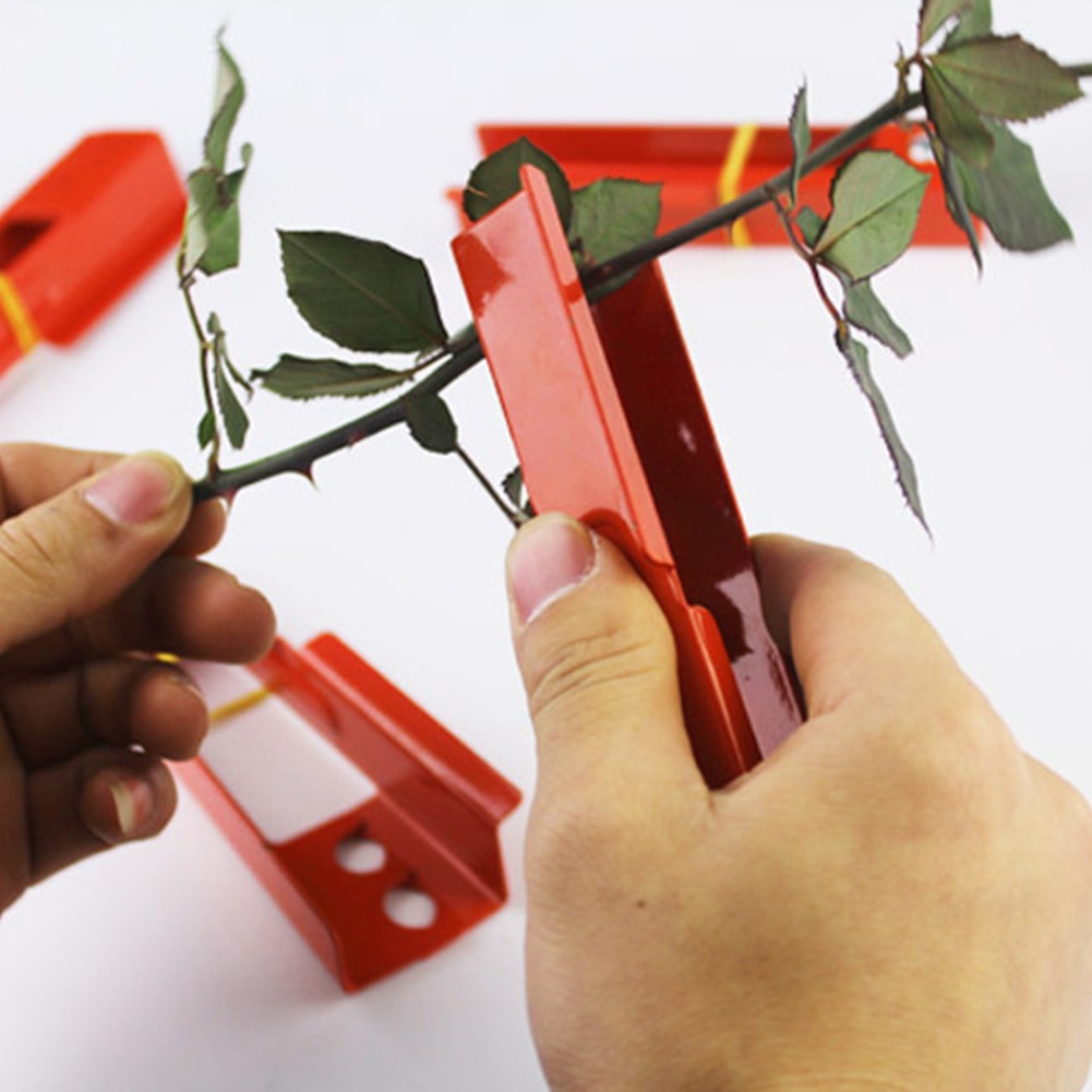 Outil de décapage pour Arrangement de fleurs de Rose | Décapant de feuille d'épines de maison et de jardin, outil de plantation