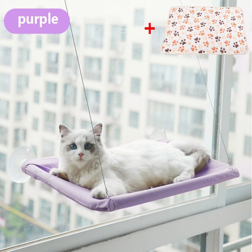 Hamac pour animaux de compagnie, lit-balançoire suspendu, siège de repos, perchoir, fenêtre, confortable, 20kg: Purple and blanket