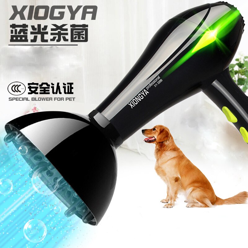 Electric Pet Hair Dryer High Power Dog Blower Golden Hair Teddy Cat Small Large Dog Blowing Machine Heater