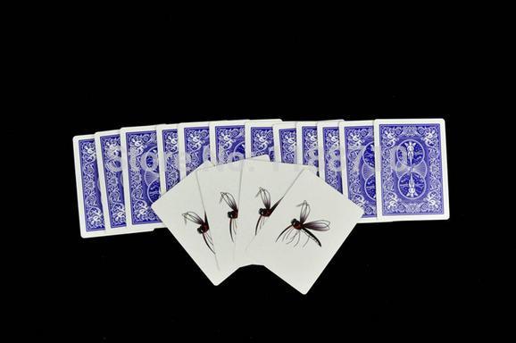 Mosquito Action Card Set - Card Magic, Magic Trick