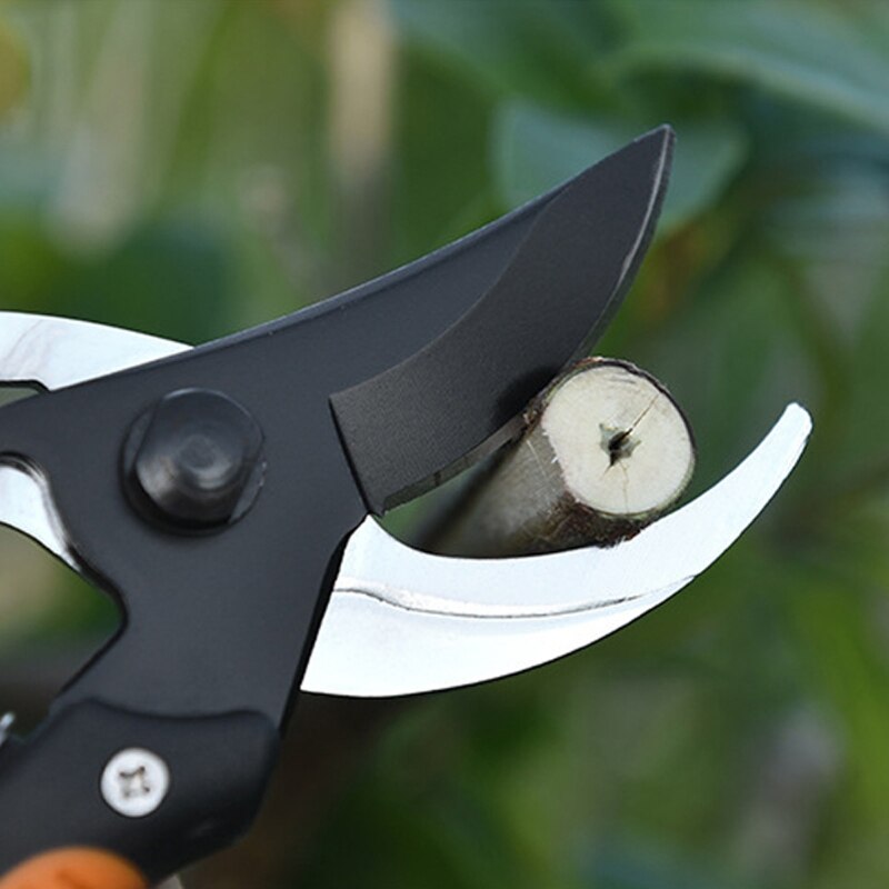 SK5 Plant Trim Horticulture Hand Pruner Cut Secateur Shrub Garden Scissor Tool Anvil Branch Shear Orchard Pruning Shears