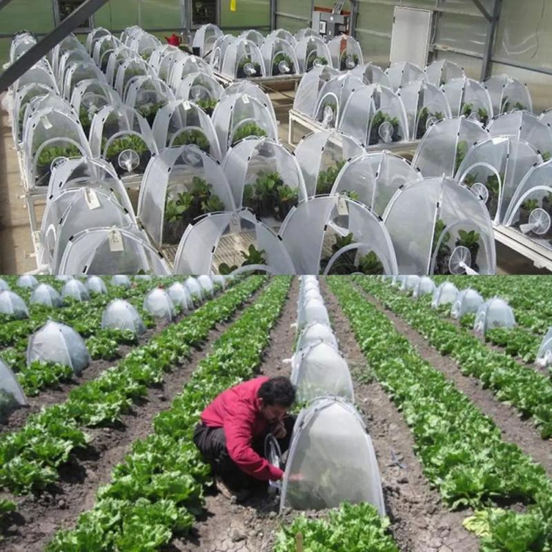 Plant Grow Insulation Shed Garden Greenhouse Folding Mini Transparent Greenhouses PVC Cultivation Warm Room Box Nursery Pots