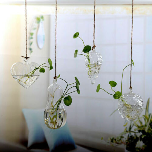 Cristal Claro flor planta soporte colgante jarrón terrario con forma de bola contenedor hogar Decoración florero de decoración para casa