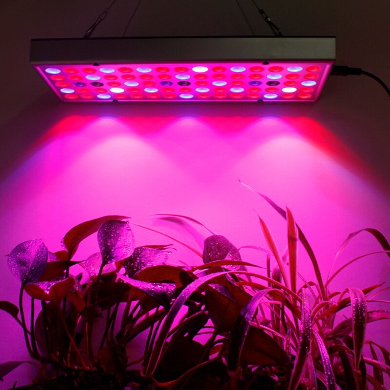 Led Grow Light Volledige Spectrum Plant Verlichting Voor Planten Bloemen Zaailing LED Planten Kweeklampen Cob Voor Indoor box plant lamp: 45w / VS