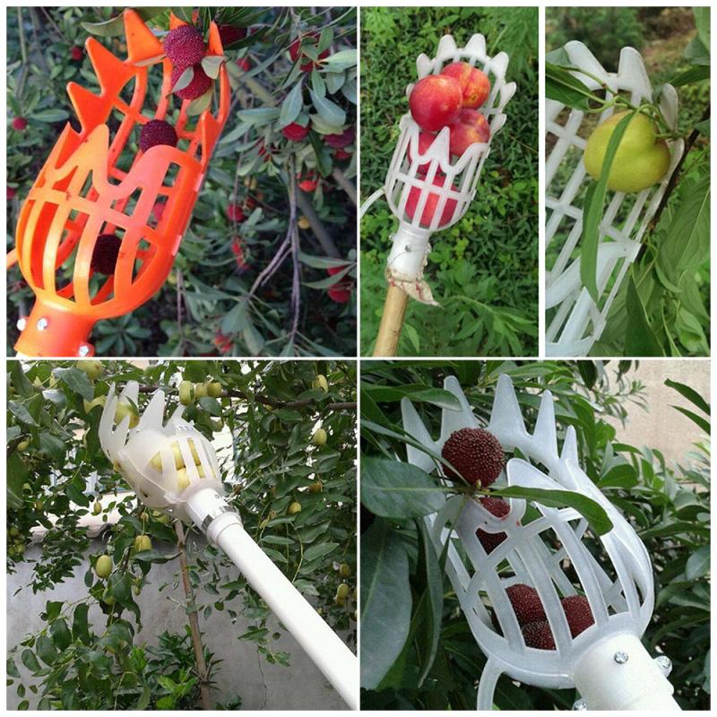 Recogedor de Frutas de plástico sin poste, atrapasueños de frutas, utensilios para coger piezas de jardinería, dispositivo de recolección de jardín de granja, herramienta para invernaderos de jardín